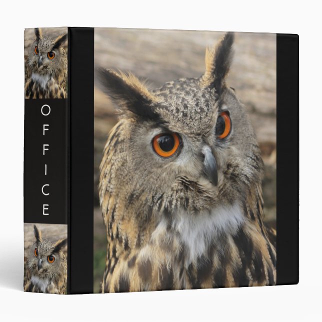 Cute eagle owl photography 3 ring binder (Front/Spine)