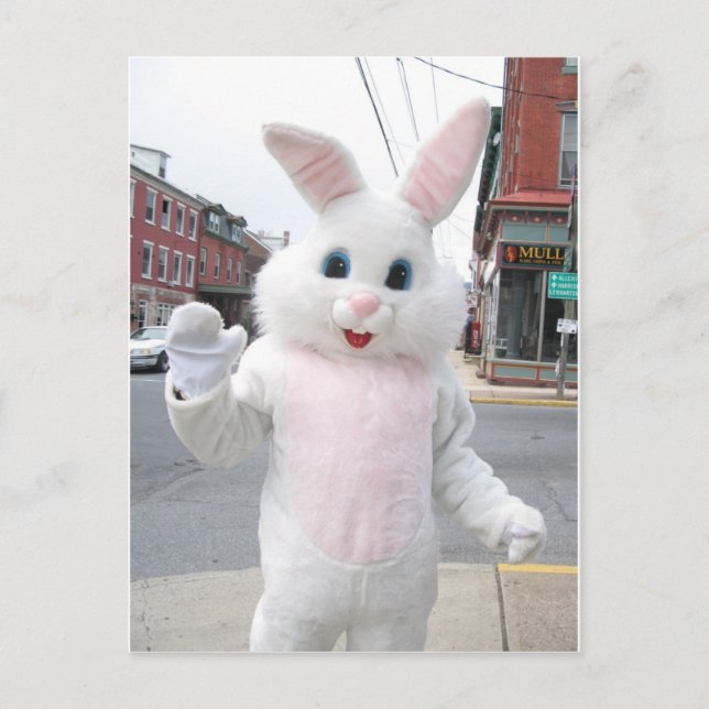 Cute Easter Bunny Animal Peace Love Destiny Holiday Postcard (Front)