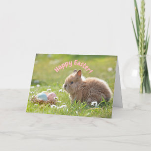 Cute Easter Bunny with Painted Eggs Card