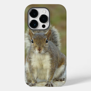Cute Eastern gray squirrel close-up  Case-Mate iPhone 14 Pro Case