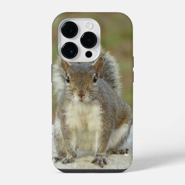 Cute Eastern grey squirrel close-up  iPhone Case (Back)