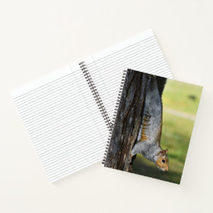 Cute Eastern Grey Squirrel Nature Photo Notebook