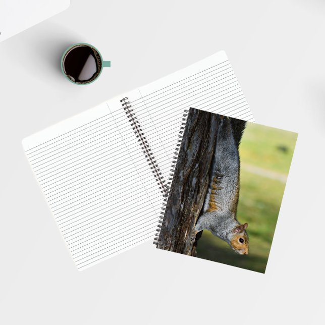Cute Eastern Grey Squirrel Nature Photo Notebook (In Situ)