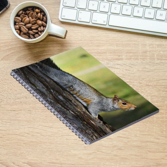 Cute Eastern Grey Squirrel Nature Photo Notebook (In Situ)