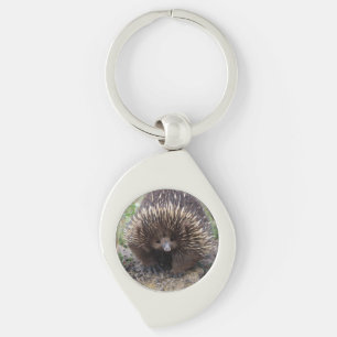 Cute Echidna from Australia Keychain