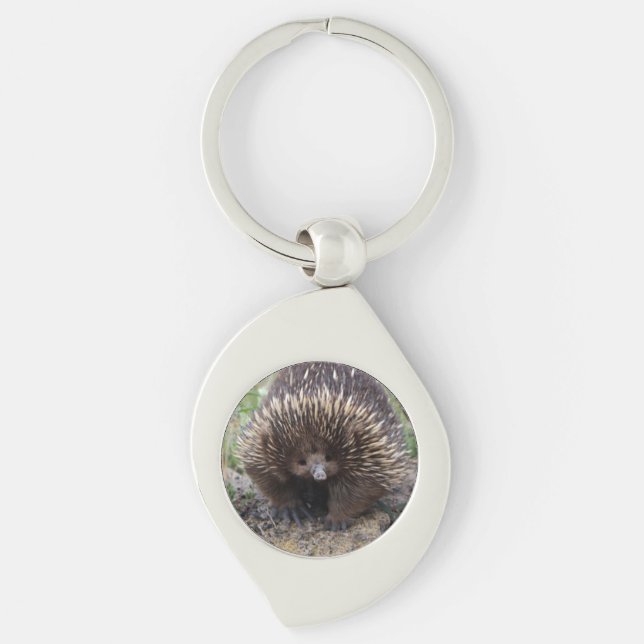 Cute Echidna from Australia Keychain (Front)