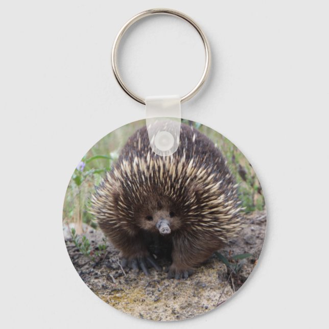 Cute Echidna from Australia Keychain (Front)