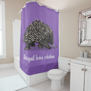 Cute echidna with bee cartoon illustration