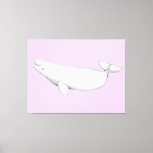 Cute Elegant Beluga Whale Book Illustration  Canvas Print