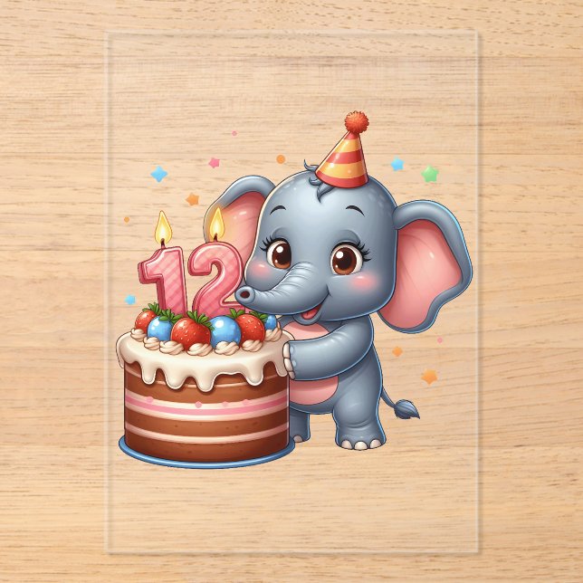 Cute Elephant 12th Birthday Acrylic Invitations (Front)