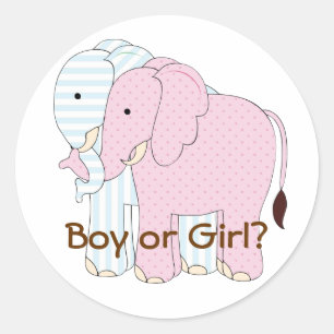 Cute Elephant Baby Gender Reveal Par ty Sticker