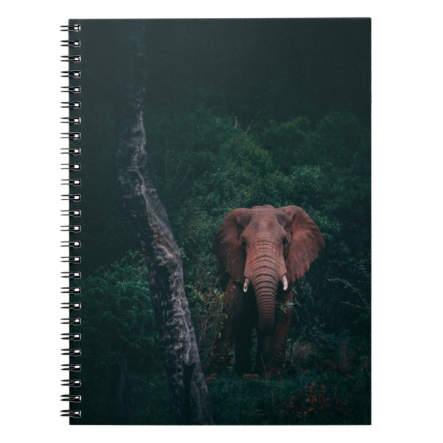 CUTE ELEPHANT NOTEBOOK (Front)