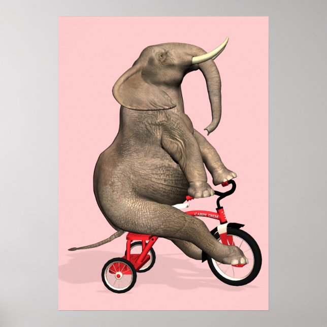Cute Elephant Riding A Tricycle Poster (Front)