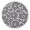 Cute Elephants Grey And White Door Knob