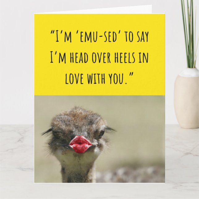 Cute Emu Bird Funny Valentine Cards  (Front)