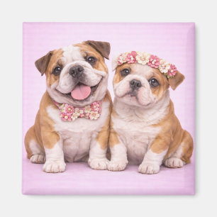Cute English Bulldog Couple Valentine Illustration Magnet