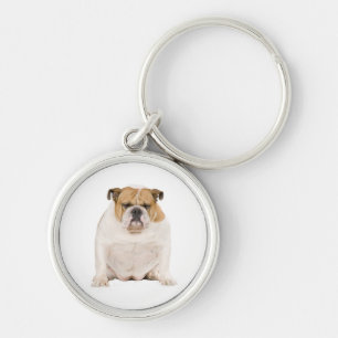 Cute English Bulldog Puppy Dog Keychain