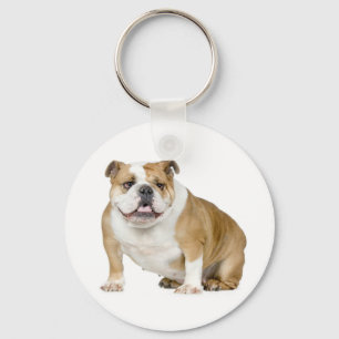 Cute English Bulldog Puppy Dog Keychain