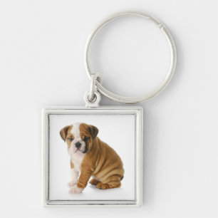 Cute English Bulldog Puppy Dog Keychain