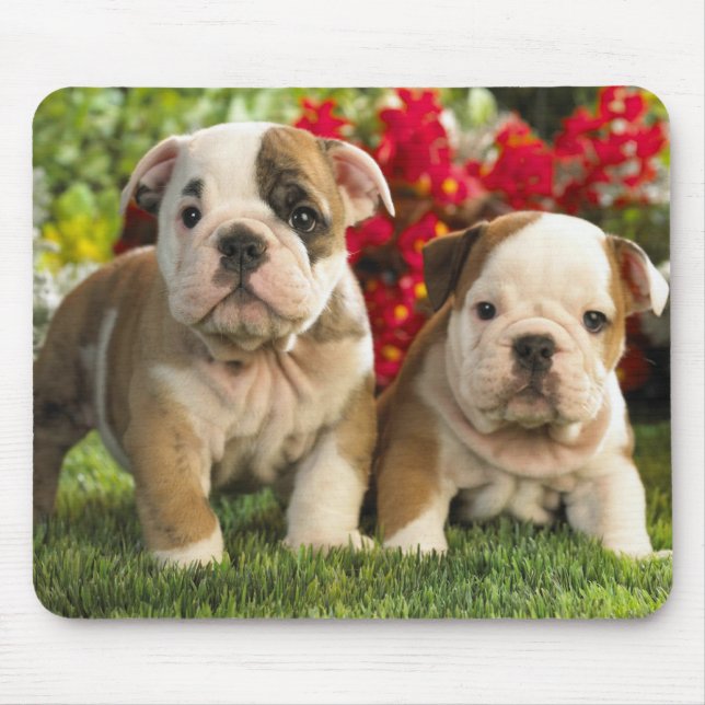 Cute English Bulldog Puppy Dogs Mousepad (Front)