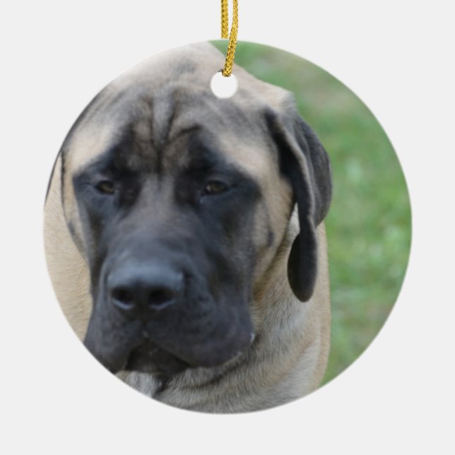 Cute English Mastiff Ceramic Ornament (Front)