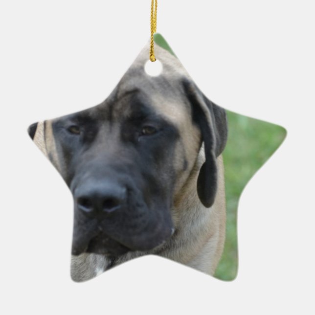 Cute English Mastiff Ceramic Ornament (Front)