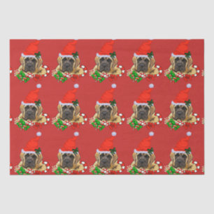Cute English Mastiff Christmas Tissue Paper