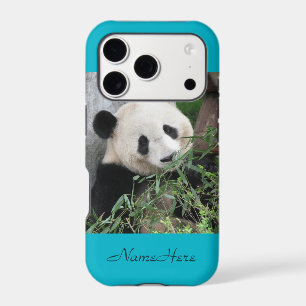Cute énorme géant Panda bleu