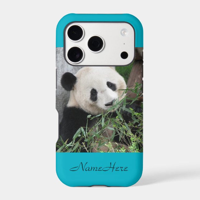 Cute énorme géant Panda bleu (Verso)