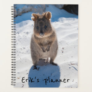 Cute et heureuse Quokka sur la plage en Australie