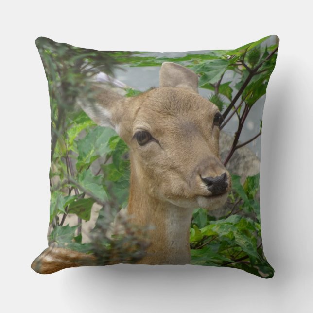 Cute Fallow Deer Close Up Throw Pillow (Front)