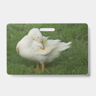 cute, farm, animals, kids, farm animals, pet, badge