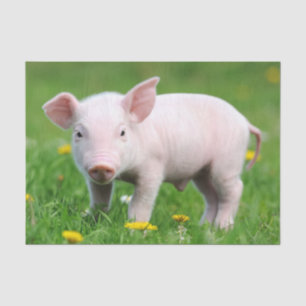 Cute Farm Living Barn Pink Piglet  Tissue Paper