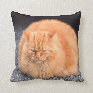 Cute Fat Cat Yellow Colour Throw Pillow