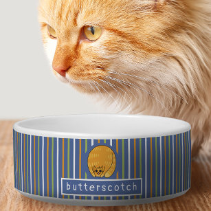 Cute Fat Orange Cat Personalized Pet Bowl