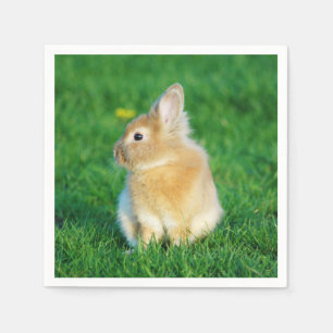 Cute Fawn Bunny Sitting in Grass Napkin