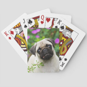 Cute Fawn Colored Pug Puppy Dog Face Pet Photo - Playing Cards