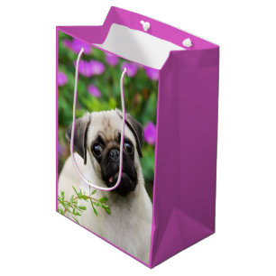 Cute Fawn Coloured Pug Puppy Dog Portrait Photo Medium Gift Bag