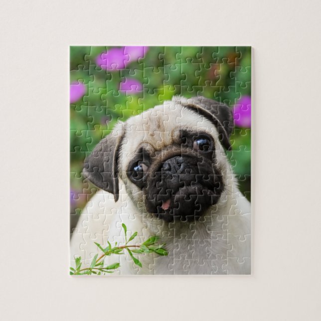 Cute fawn pug puppy jigsaw puzzle (Vertical)
