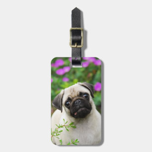 Cute fawn pug puppy luggage tag