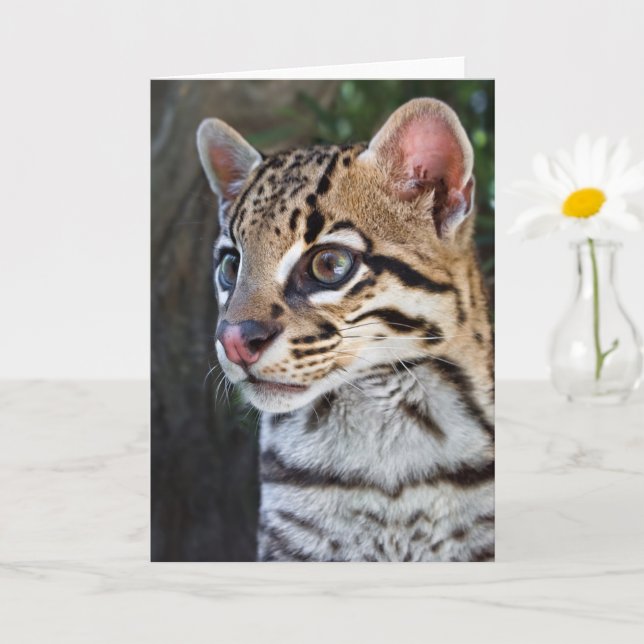 Cute Feline Ocelot Portrait Card (Small Plant)