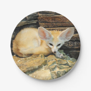 Cute fennec fox paper plate