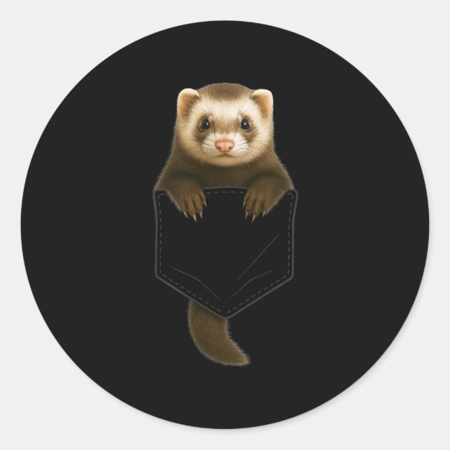 Cute Ferret Cket Funny Gift For Men Women Kid Ferr Classic Round Sticker (Front)