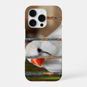 Cute Finch Bird in Cage iPhone 16 Pro Case