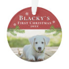 Cute First Christmas Puppy Red Christmas Photo