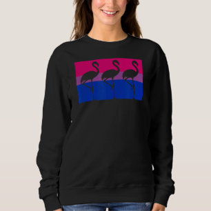 Cute Flamingo Party Gay Bisexual Pride Flag Florid Sweatshirt