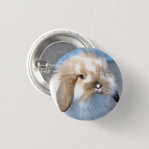 Cute Flemish white and brown rabbit 1 Inch Round Button
