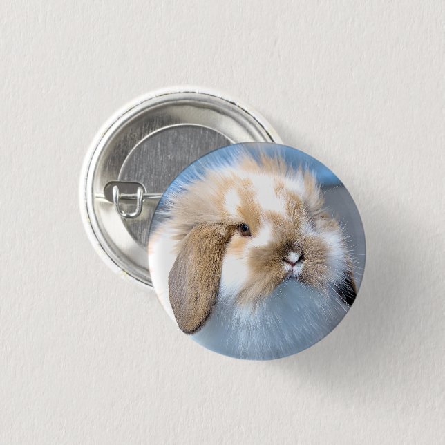 Cute Flemish white and brown rabbit      1 Inch Round Button (Front & Back)