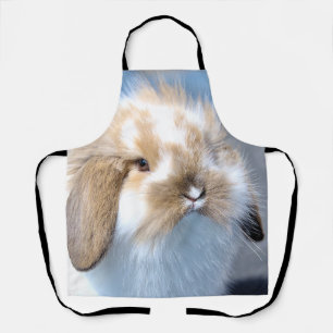 Cute Flemish white and brown rabbit      Apron