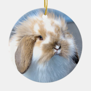Cute Flemish white and brown rabbit     Ceramic Ornament